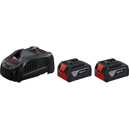 2 x GBA 18V 5.0Ah + GAL 1880 CV Professional